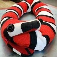 @pseudonym@mastodon.online's avatar