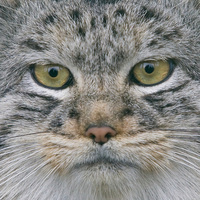 @AinarG@mastodon.online's avatar