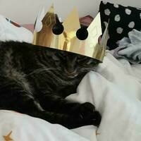 @jesusmargar@mastodon.social's avatar