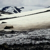 @timetunnel@mastodon.social's avatar