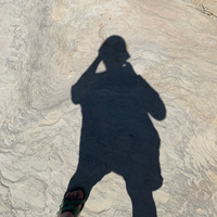 @annsiobhandoyle@mastodon.social's avatar