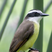 @sloanlance@mastodon.social's avatar