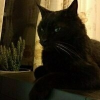 @PerlPlayer@mastodon.social's avatar