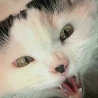 @Tytrater@mastodon.social's avatar