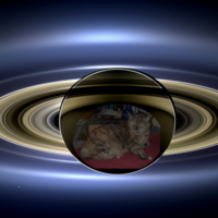 @llewelly@sauropods.win's avatar