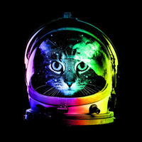 @PetterOfCats@mastodon.world's avatar