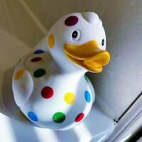 @FediThing@chinwag.org's avatar