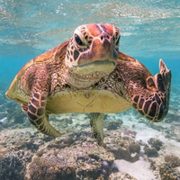 @KikoKate@mstdn.party's avatar