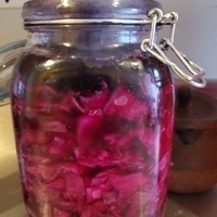 @bluedragon@masto.yttrx.com's avatar