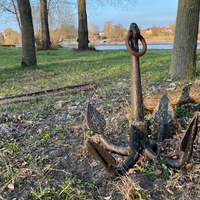 @silvi_mit_i@machteburch.social's avatar