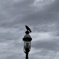 @rtw@mastodon.sdf.org's avatar
