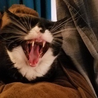 @christymarx@beige.party's avatar