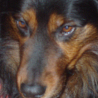 @rmathematicus@historians.social's avatar