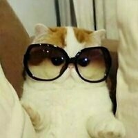 @malwaretech@infosec.exchange's avatar