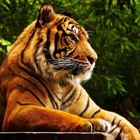 @dezz@infosec.exchange's avatar