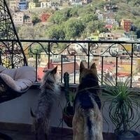 @nazgul@infosec.exchange's avatar