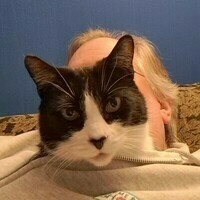 @fencepost@infosec.exchange's avatar