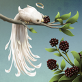 @migratory@jorts.horse's avatar