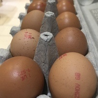 @JugglingWithEggs@mstdn.social's avatar