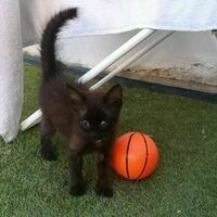 @Alejandro_P@mathstodon.xyz's avatar