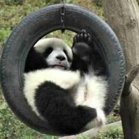 @georgespolitzer@monads.online's avatar