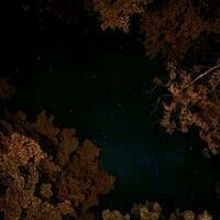 @heymarkreeves@mstdn.social's avatar