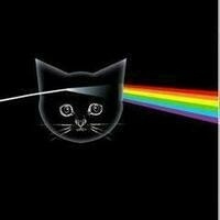 @mrbruno@mstdn.social's avatar