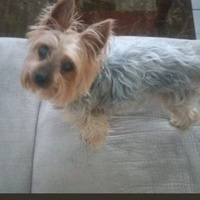 @LorrieW@mstdn.social's avatar