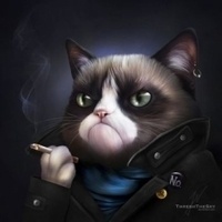 @Couchpunk@nrw.social's avatar