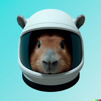 @danielg88@mastodon.social's avatar