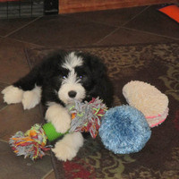 @KathyLK@universeodon.com's avatar