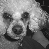 @Elledeeay@universeodon.com's avatar