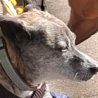 @bob@beamship.mpaq.org's avatar