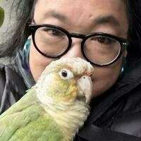 @SeaFury@aus.social's avatar