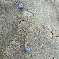 @juha@mastodon.nz's avatar