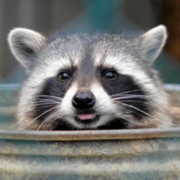 @spaceraser@polymaths.social's avatar