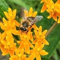 @whatzaname@masto.ai's avatar