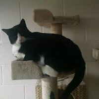 @isaac32767@mastodon.social's avatar