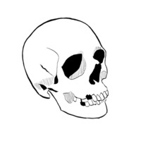 @loombot@mastodon.replacementhipster.com's avatar