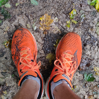 @sbfclt@mamot.fr's avatar