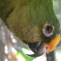 @peachfront@toot.community's avatar
