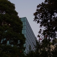 A glass building peeking between two trees