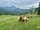 1237, Farrenpoint