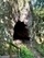 Ein bisschen durch den Thüringer Wald