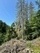 Ein bisschen durch den Thüringer Wald