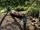 Vater und Sohn-Urlaub