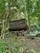 Ein bisschen durch den Thüringer Wald