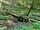Ein bisschen durch den Thüringer Wald