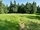 Ein bisschen durch den Thüringer Wald
