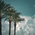 Auto-generated description: Tall palm trees stand against a backdrop of a partly cloudy sky with a teal hue.